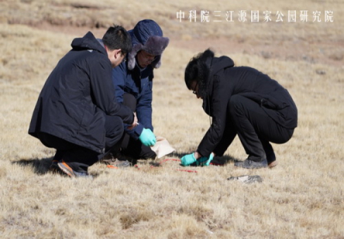 牧草样品采集_副本_调整大小